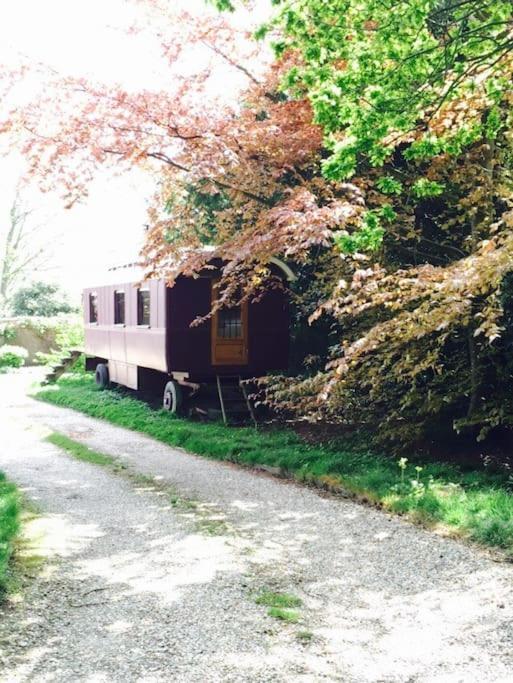 Luxurious 1930S Showman'S Wagon Heathfield Εξωτερικό φωτογραφία